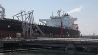 DOCUMENT | Fermierii cer intervenția Guvernului după ce transportul cerealelor spre Portul Constanța a ajuns să dureze 10 zile, față de maximum 72 de ore în mod normal