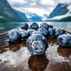 Dieta mediteraneeană are o „verișoară” scandinavă / Cu ce este înlocuit uleiul de măsline. Ce au descoperit cercetătorii despre dieta nordică și longevitate