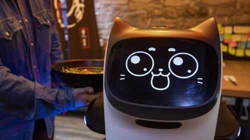 Roboții-pisică iau locul ospătarilor: servesc clienții și miaună când îi mângâi/ Cum tehnologia ajută afacerile să facă față deficitului de forță de muncă