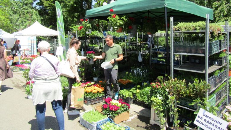 Zilele Horticulturii Bucureștene la USAMVB, sub semnul bujorului