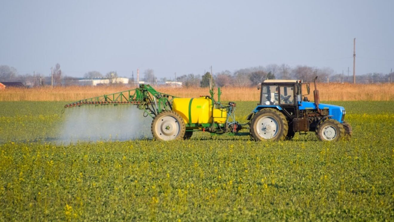 VIDEO | Fertilizantul care poate aduce un plus de 100 euro pe hectar / Gabriel Stoian: „Aplicat în condiții de secetă, poate prelungi vegetația iar planta să rămână verde încă 2-3 săptămâni”