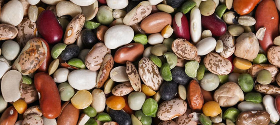 Cinci rețete cu cinci tipuri de fasole diferite/ Preparate tradiționale, românești și nu numai, pentru a pune în valoare acest super aliment
