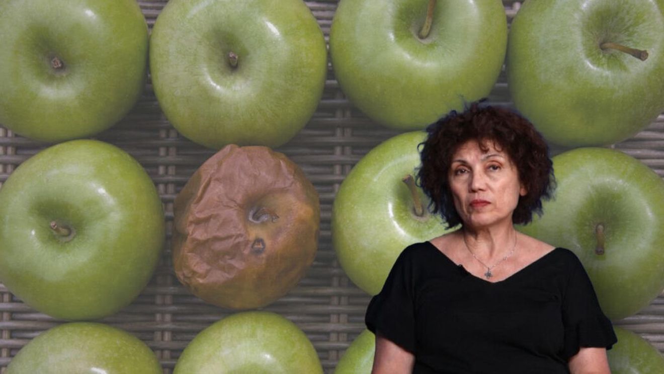 VIDEO | Cum este afectată calitatea produselor alimentare de pesticidele contrafăcute / Director AIPROM: „Produsul nu trece prin nicio procedură de testare. Pur și simplu cineva le produce și le pune pe piață”