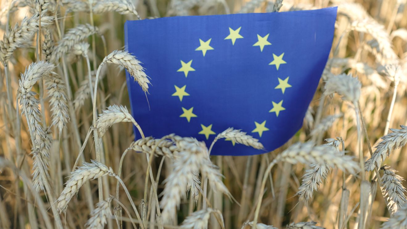 România a obținut acceptul UE pentru continuarea ajutoarelor naționale tranzitorii după 2027 / Ce alte schimbări propune pentru viitoarea Politică Agricolă Comună