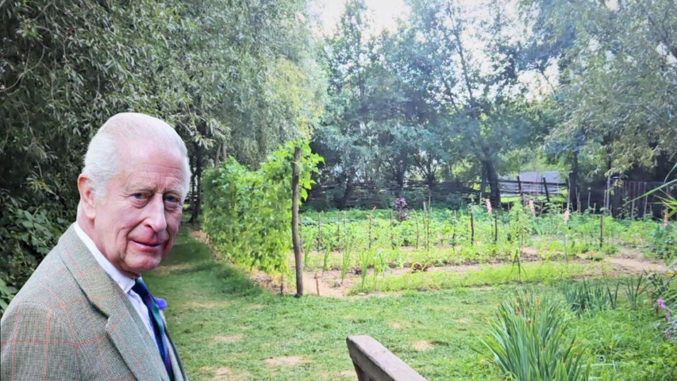 FOTO-VIDEO | Cum arată grădina Regelui Charles de la Viscri / Este un spațiu în care au loc diverse proiecte comunitare în care sunt implicați copiii / Cei mici învață să planteze, să îngrijească și să culeagă legume sau verdețuri