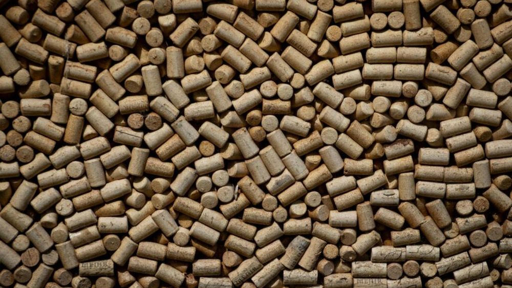 Pluta, unul dintre cele mai sustenabile materiale din lume, ne-ar putea rupe dependența de plastic