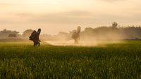 Îngrășământul viitorului? Un nou tip de fertilizant ajunge în SUA după succesul din Europa și promite să reducă costurile din agricultură