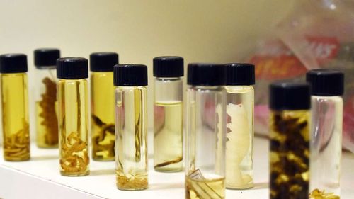 Uleiul din insecte, soluția inovatoare care câștigă teren în industria alimentară / „Când insecta nu mai este vizibilă, percepția asupra produsului se schimbă”