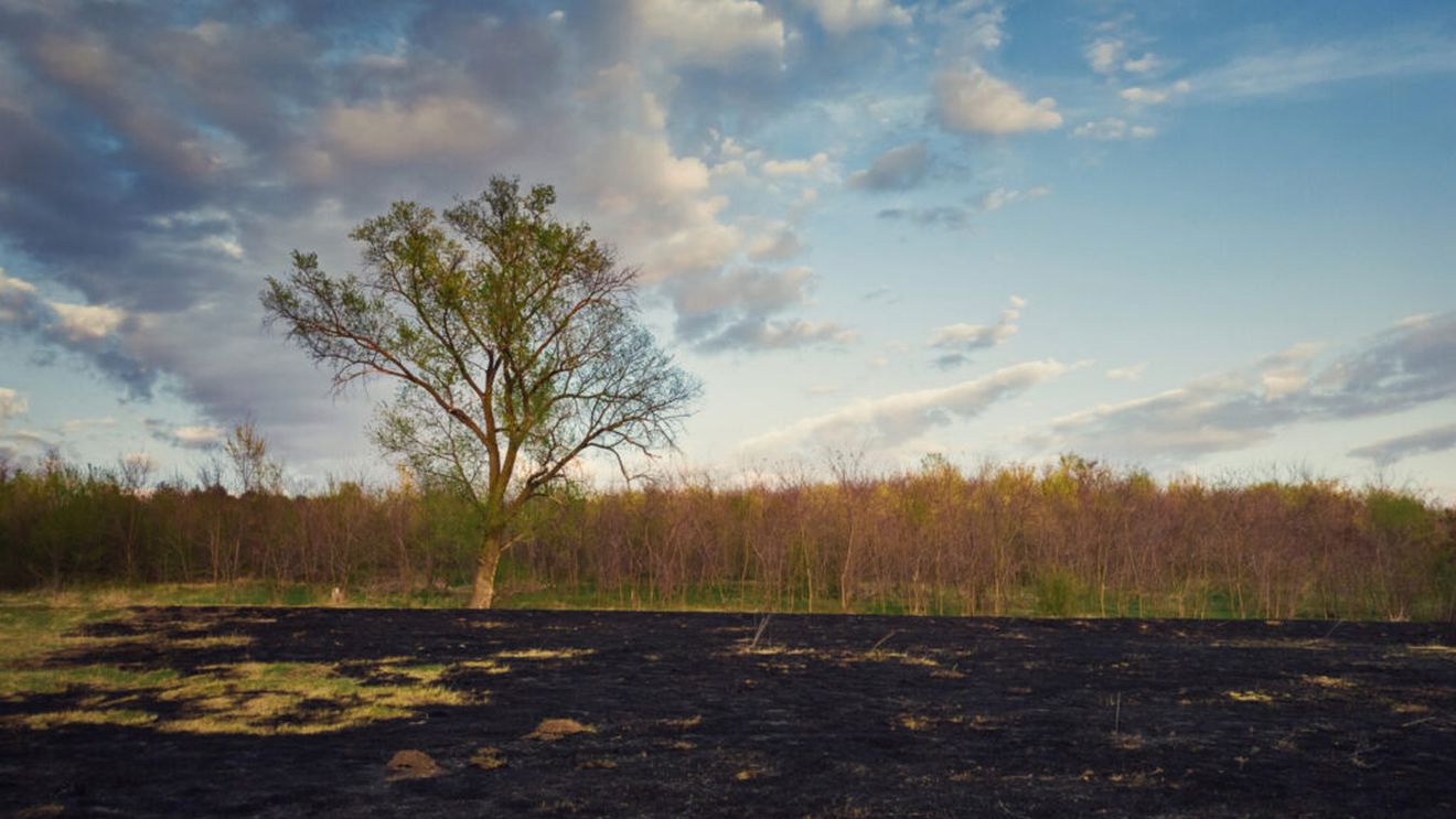 Trei fermieri din județul Harghita, identificați de APIA după ce pe terenurile lor au avut loc incendii de vegetație / Autoritățile promit sancțiuni severe