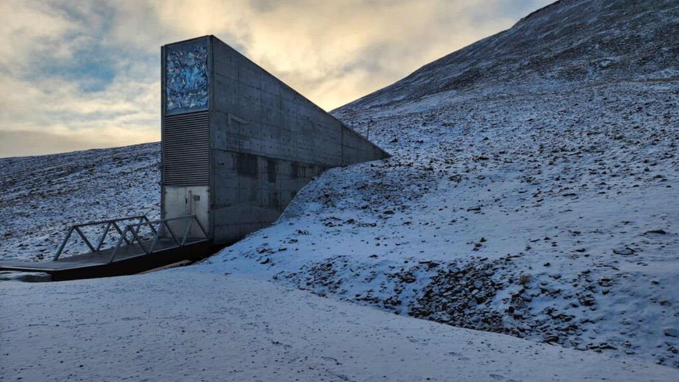 Premiul mondial pentru Alimentație: Doi agronomi din Marea Britanie care au creat un seif cu semințe într-un versant de munte din Norvegia/ Seiful conține 1,3 milioane de mostre de semințe din 6 000 de specii de plante din aproape toate țările lumii