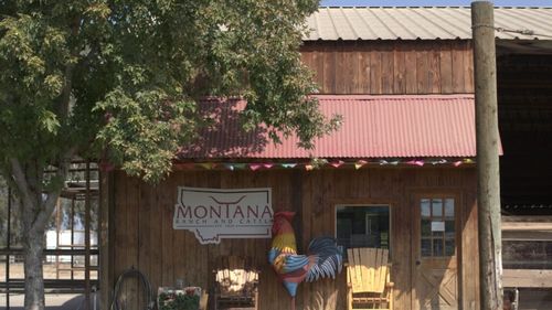 Fermierii americani apelează la Airbnb și își completează veniturile prin agroturism pentru a supraviețui recesiunii agricole