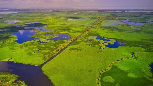 Tulcea: Controale pe aproape 3.000 de hectare din Delta Dunării/ Autoritățile verifică agricultura și transporturile de cereale