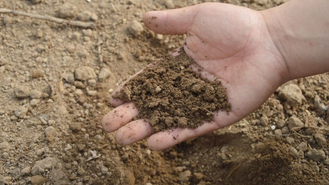 O arhivă a solului redescoperită - veche de peste un secol - ar putea arăta modul în care anii de agricultură modifică solul