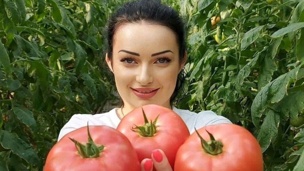 Bulgarii, tot mai activi pe piețele internaționale / Ei susțin că vânzările de fructe și legume sunt în creștere, inclusiv în România