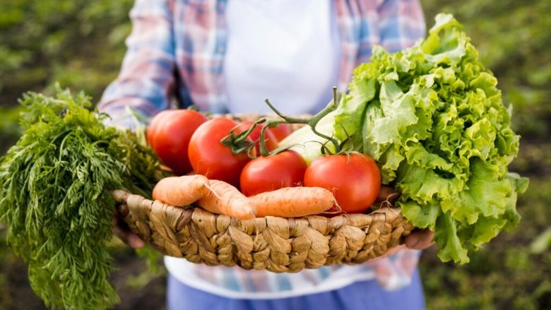 Doar 5% dintre fermierii români au studii agricole. OECD avertizează că lipsa educației încetinește modernizarea sectorului