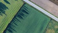 Departamentul pentru Agricultură al SUA testează sateliți și inteligența artificială pentru estimarea recoltelor / Inițiativa vine după ce fermierii au pus sub semnul întrebării acuratețea datelor oficiale