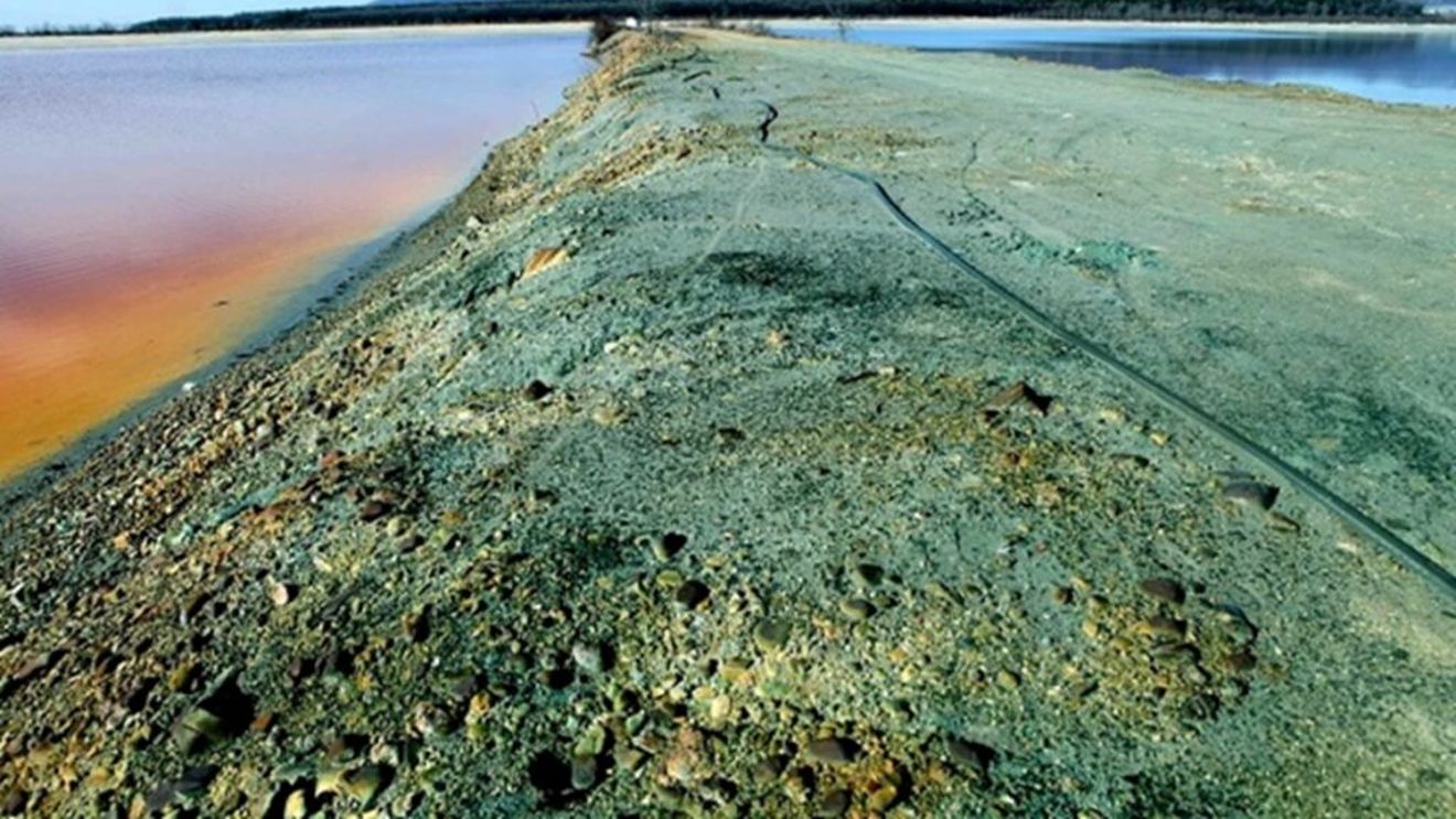 VIDEO | Cum ajung metalele grele din iazurile de steril sau minele închise direct în farfuria noastră / Dr. ing. Ioan Bud: „Le găsim în mediul marin sau acvatic, în vegetație și, pe urmă, la animale, fie în lapte, fie în carne”