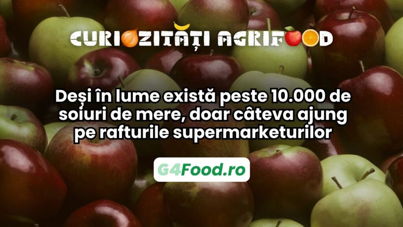 Curiozitate agri-food | Deși în lume există peste 10.000 de soiuri de mere, doar câteva ajung pe rafturile supermarketurilor