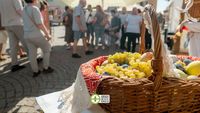 Festivalul „Gusturi și tradiții de Bihor” ajunge în premieră la Salonta / Plăcinte, sarmale cu păsat și preparate tradiționale, timp de două zile
