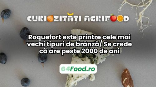 Curiozități agrifood - 22 mai | Roquefort este printre cele mai vechi tipuri de brânză/ Se crede că are peste 2000 de ani
