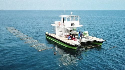 Agricultură pe mare: Într-o fermă plutitoare, un „tractor marin” recoltează și replantează alge marine care captează CO2 / Plantele, folosite la producerea de biocombustibil, biostimulatori, dar și în alimentația oamenilor