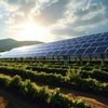 Fermierii și procesatorii pot obține finanțare de până la 100% pentru investiții în energie regenerabilă