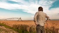 Fermierii din Maramureș au cărat apa cu cisternele pentru a salva legumele. Recoltele au fost afectate de caniculă, iar cultivatorii caută soiuri mai rezistente