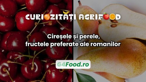Curiozitate agri-food: Cireșele și perele, fructele preferate ale romanilor / De la grădinile imperiale la mesele de sărbătoare