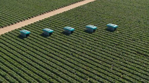 Alphabet (Google) renunță la startup-ul său Mineral din domeniul AgTech / Acesta se alătură unei liste lungi de firme, produse și servicii închise de gigant