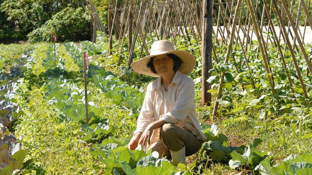 Comerţul bilateral România - Brazilia a oscilat în jurul valorii de 700-750 mil. de dolari / Ambasador: Comerţul dintre România şi America Latină este de 1,5 miliarde de dolari, foarte scăzut / Importăm din Brazilia hrană pentru animale, zahăr, cafea sau carne de vită