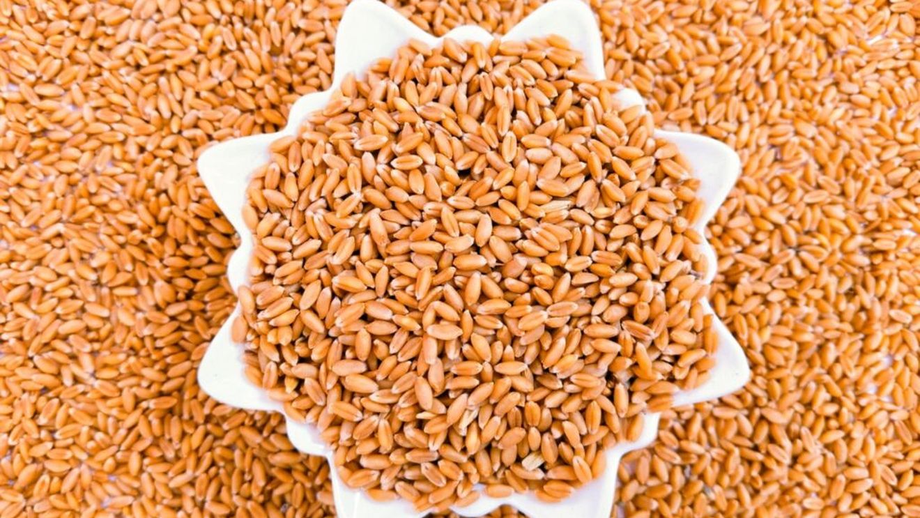 Analiști: România va înregistra cea mai mare recoltă la grâu de după 1997 / Creşterea producţiei este rezultatul unor randamente mai bune la hectar, precum şi creşterii suprafeţelor însămânţate