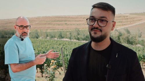 VIDEO | David Sandu (Crama de Piatră): „Vinificația nu înseamnă doar să iei strugurii din vie. Ai nevoie de protocoale clare, de enologi experimentați. Fenomenul vinului nefiscalizat distorsionează piața”