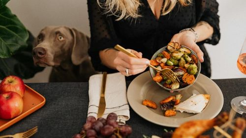 Mâncare gătită pentru câini și pisici? Da, există o carte cu 50 de rețete delicioase: Castronul de Argint!