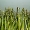 De la un experiment agricol la o afacere în plină dezvoltare / O antreprenoare din Argeș pariază pe cultura de sparanghel