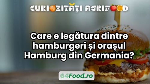 Curiozități agrifood: Care e legătura dintre hamburgeri și orașul Hamburg din Germania?