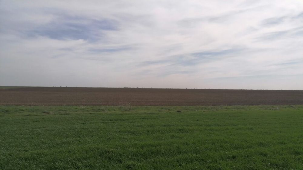 ”Agricultura este mult mai expusă acum, decât a fost în ultimele două decenii/Fermierii care cred că în 2025 vor dispărea problemele se păcălesc. Acestea abia încep!” - Mihai Răzvan Moraru, antreprenor agricol