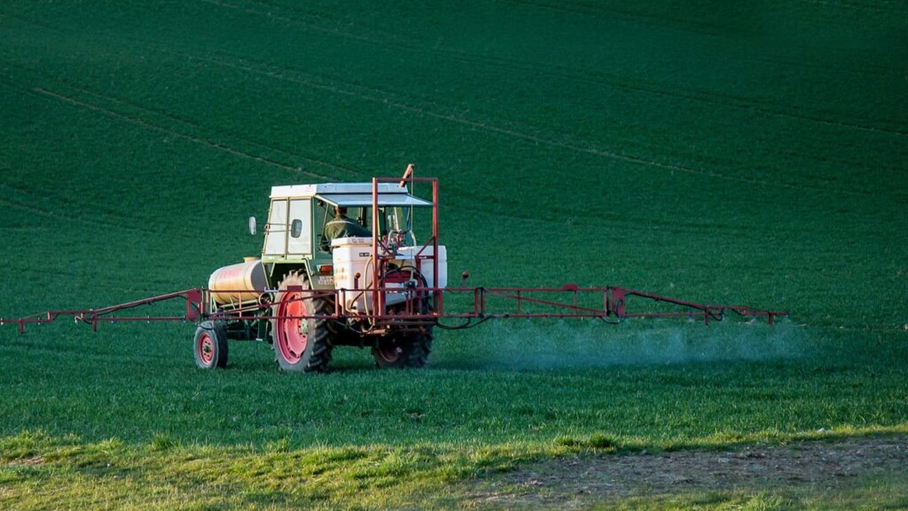 Ministerul Agriculturii: Nu există teste rapide care să determine în mod exact nivelul fiecărui pesticid