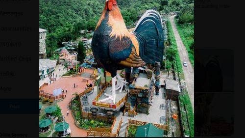 Locul unde se află cel mai mare hotel din lume în formă cocoș. A intrat în Cartea Recordurilor / În zonă, există peste 2.000 de ferme de creștere a cocoșilor