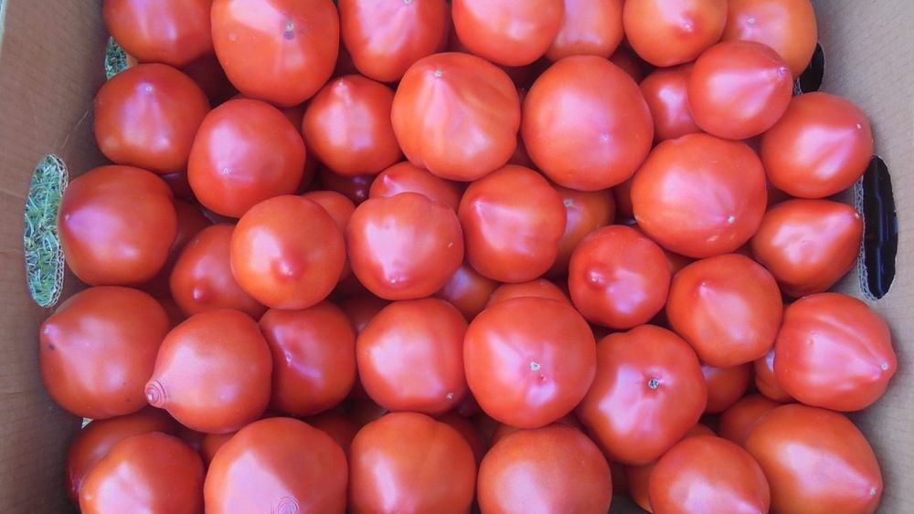 Milioane de euro pentru promovarea la export a legumelor și fructelor proaspete, a mierii , a sucurilor, laptelui și vinului bio și a salamului de Sibiu; cine sunt beneficiarii din România