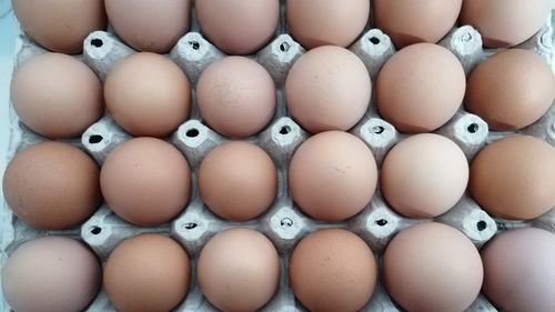 Ouăle de găină, grăsimea de bovină și laptele de vacă, printre produsele de origine animală care vor fi analizate de ANSVSA, pentru depistarea reziduurilor de pesticide, în cadrul programului european multianual 2023 - 2026