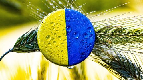 Uniunea Europeană a ajuns la un acord provizoriu în ceea ce privește importurile de alimente din Ucraina