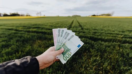 APIA: 708.012 cereri de plată pentru 9,875 milioane hectare au fost depuse de fermieri în 2025