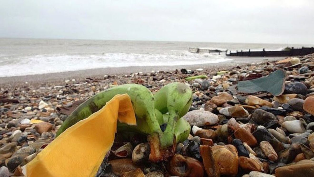 Tone de banane-platan pe plajele Angliei, după ce o navă container s-a răsturnat în larg