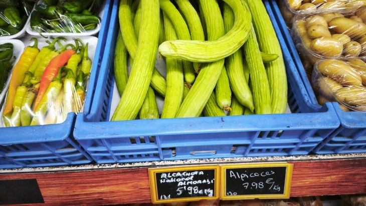 VIDEO | „Castravetele” alficoz sau castravetele de Levant este, de fapt, un pepene. Povestea unei delicatese din regiunea Valenciei