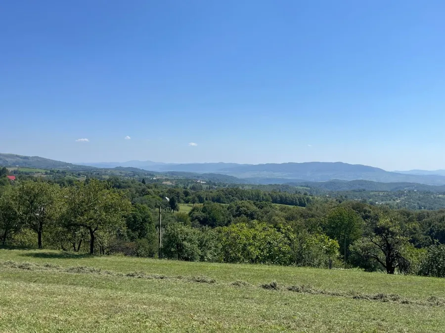 Peisaj Preluca Nouă