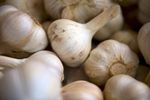 Usturoiul românesc „Benone”, exportat în Israel. Un fermier a primit o comandă de 24 de tone, în timp ce piața românească este dominată de importuri