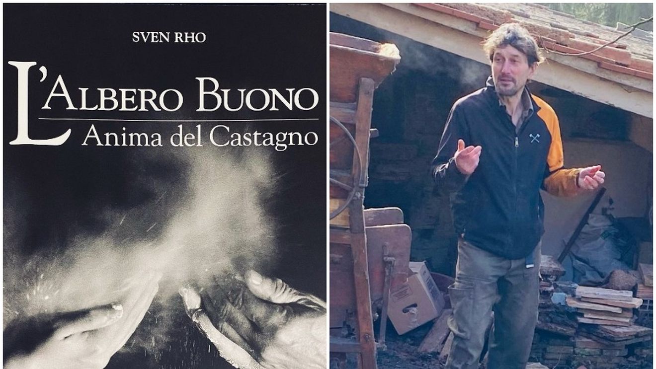 Toate produsele inovative pe care le realizează cu castanele de pe o fostă proprietate abandonată din Toscana un curajos antreprenor italo-olandez