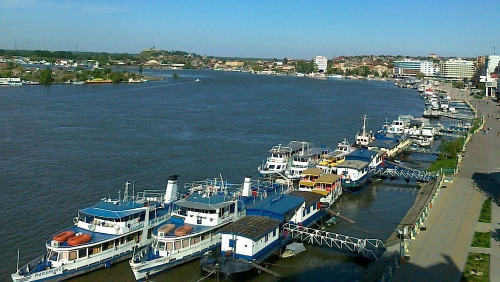 Constanţa: Directorul DSVSA Tulcea, arestat preventiv pentru luare de mită