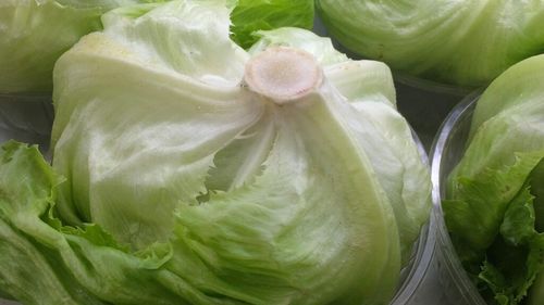 ABC în bucătărie | Nu cumpăra salata dacă observi acest semn. Detaliul de la cotor care arată că nu mai este proaspătă