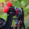 Vitorii „căpșunari” sunt roboții  / Tehnologia care schimbă agricultura, roboții Universității din Essex, premiați